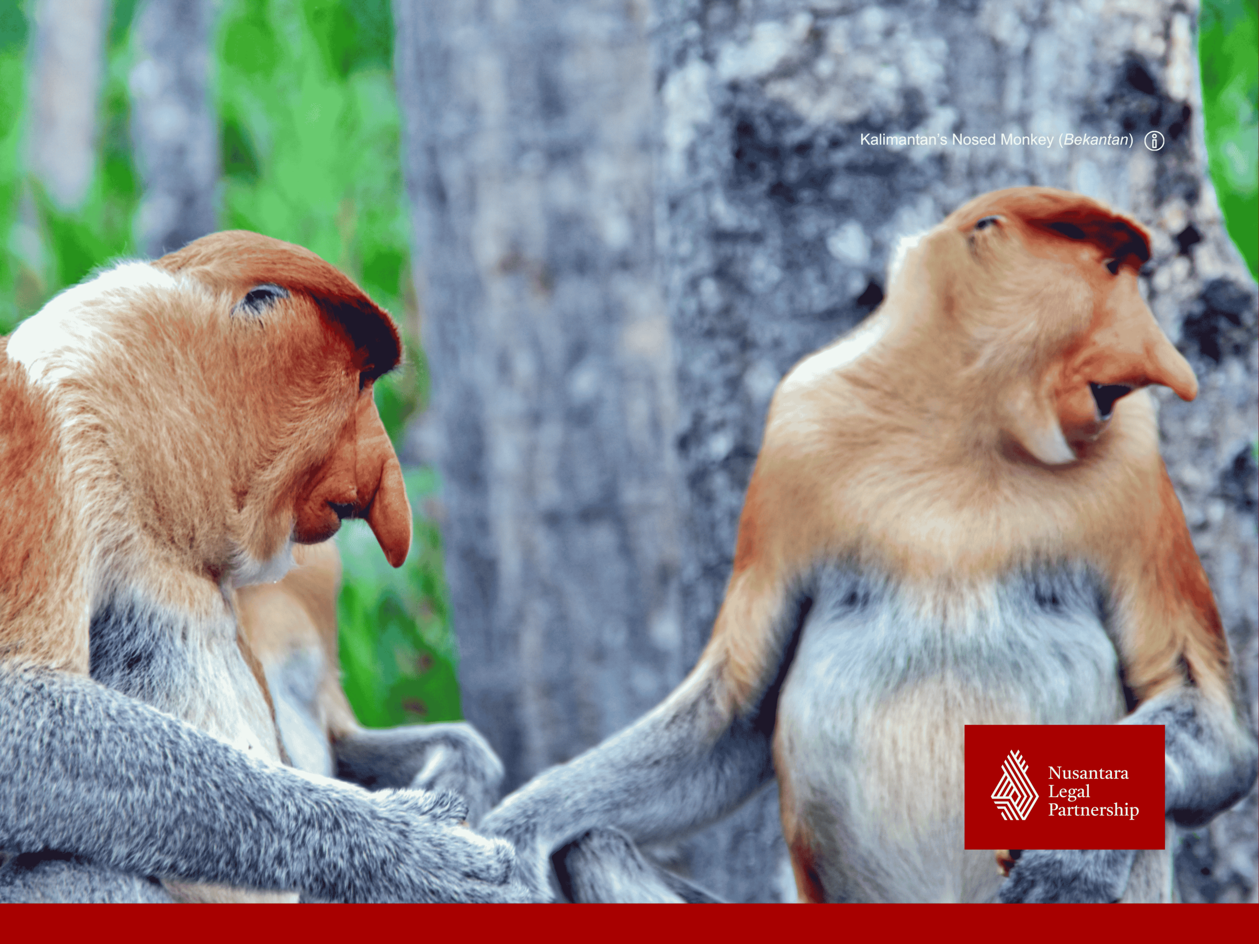 General Overview On Government Regulation No. 39 Of 2021: Procedures And Requirements Of Halal Certification In Indonesia