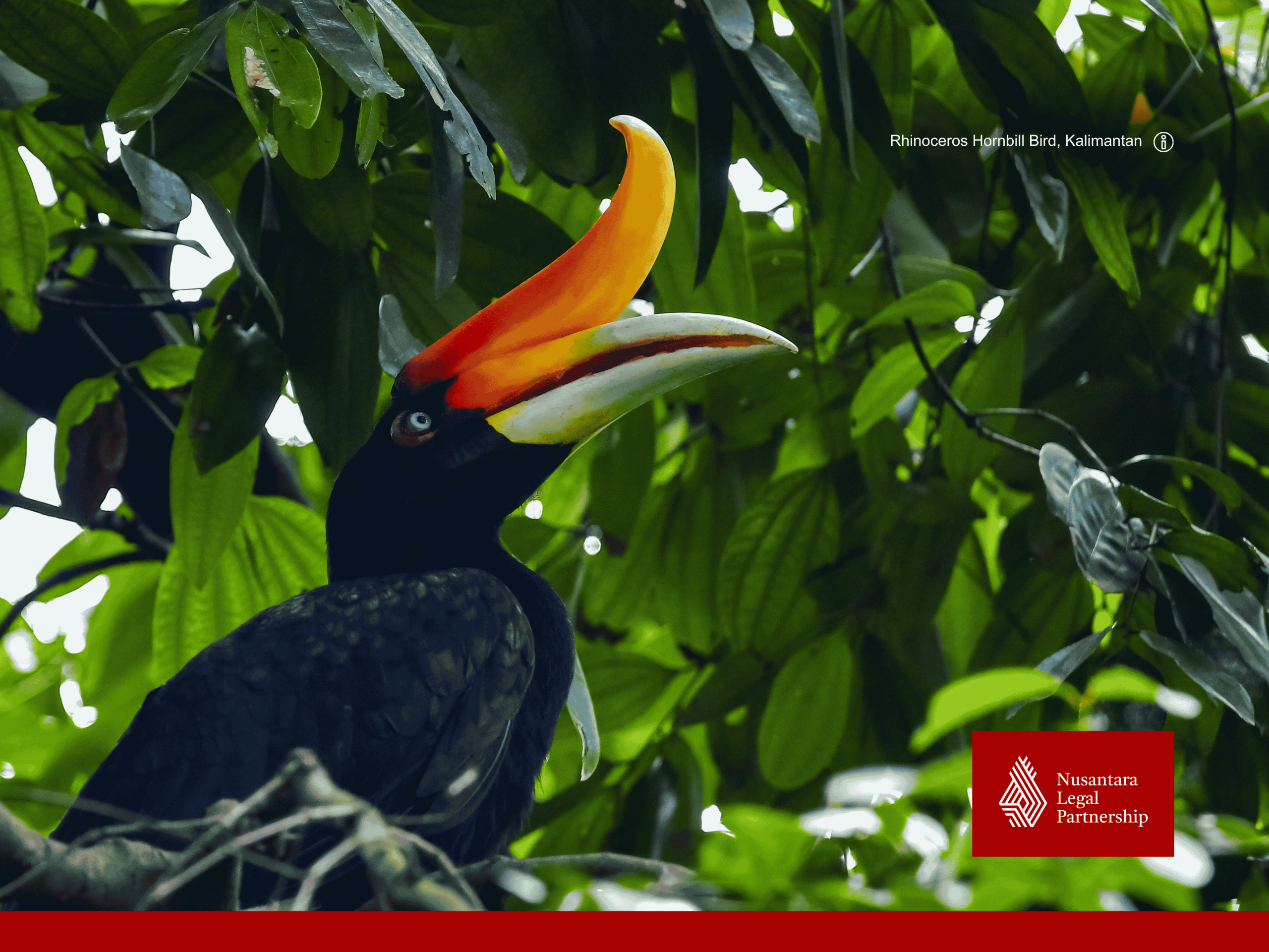 Land and Property Title Ownership in Indonesia: Common Misconceptions of Foreign Investors