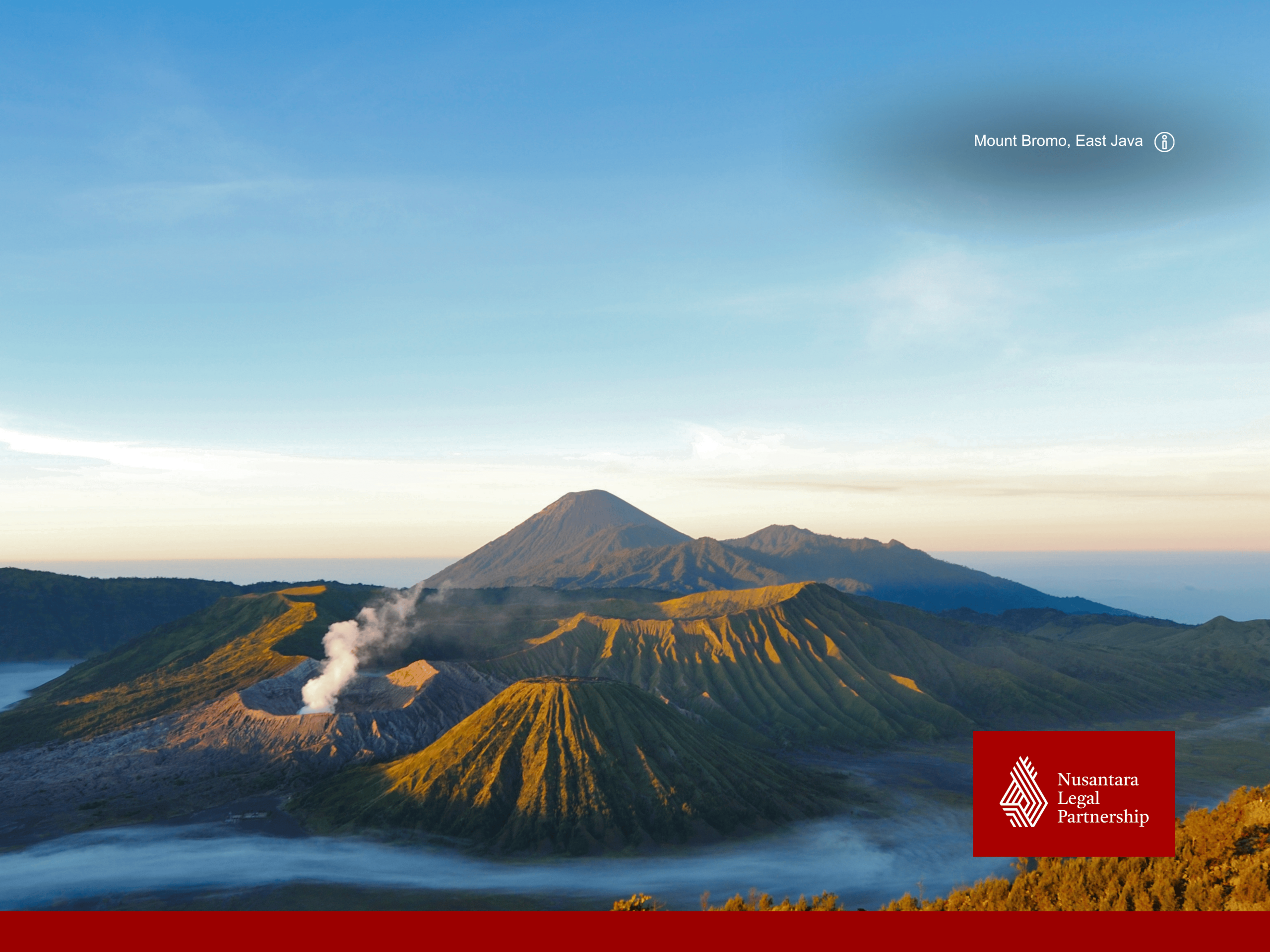 Going Global by Means of an International Joint Venture QA Indonesia