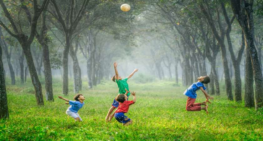 General Overview of Corporate Social Responsibility in Indonesia