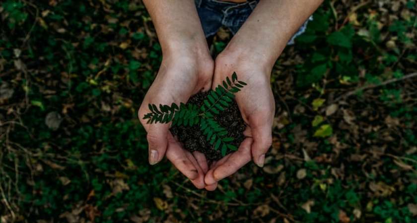 ESG in Indonesia: Legal Aspects of Green Bonds in Indonesia