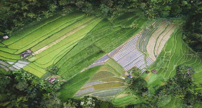 Land and Property Ownership and Utilization in Indonesia Vol. 1