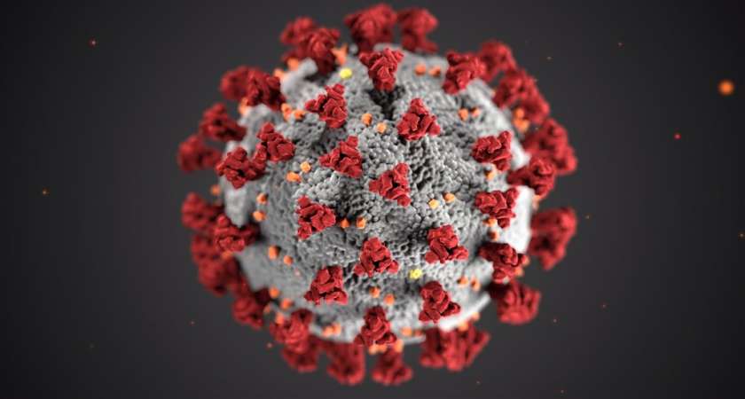 COVID-19 Pandemic: Indonesia Employment Issues