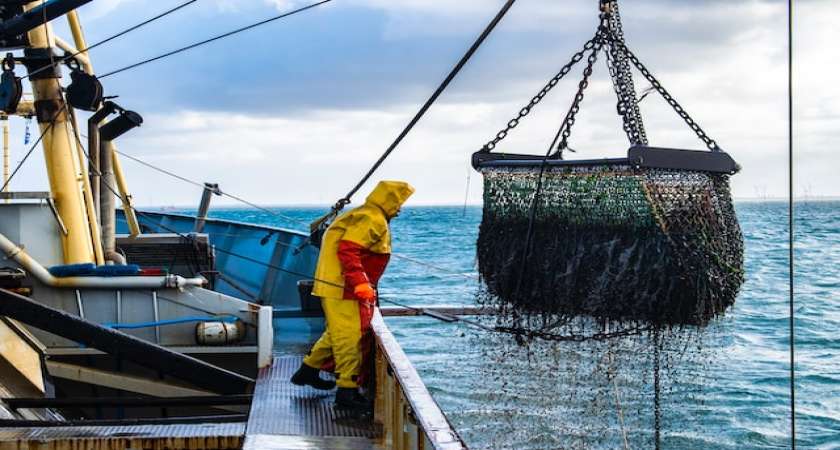 General Overview on the Measured Fishing Regulation in Indonesia