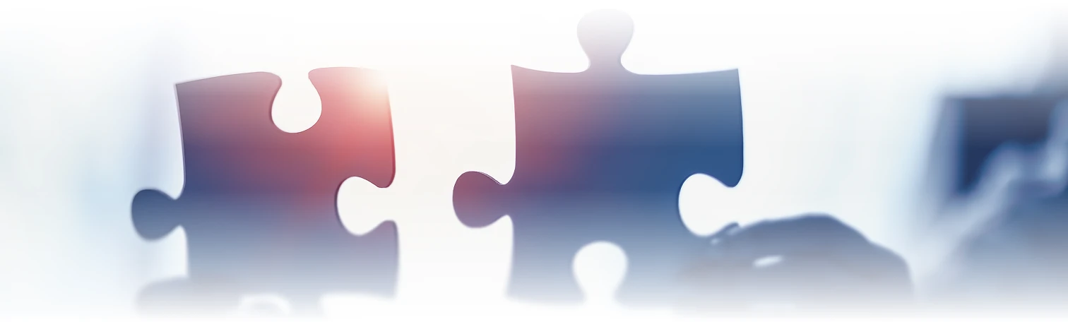 Merger & Acquisition