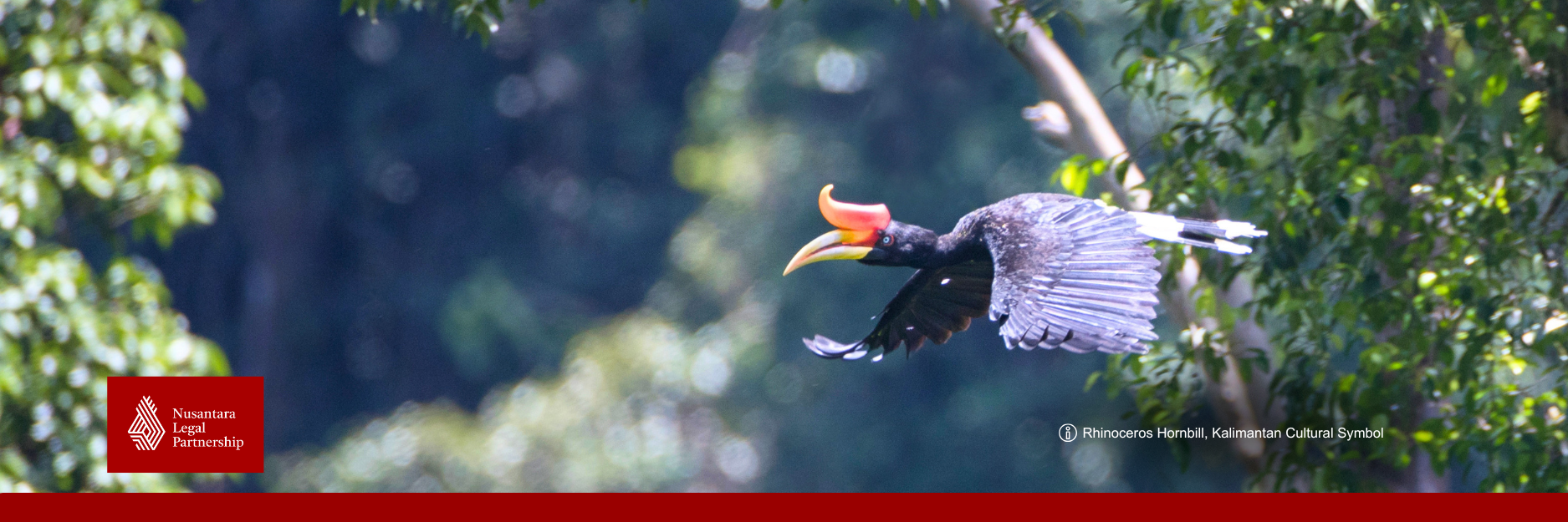 Guidelines on Urban Waste Processing for Renewable Energy