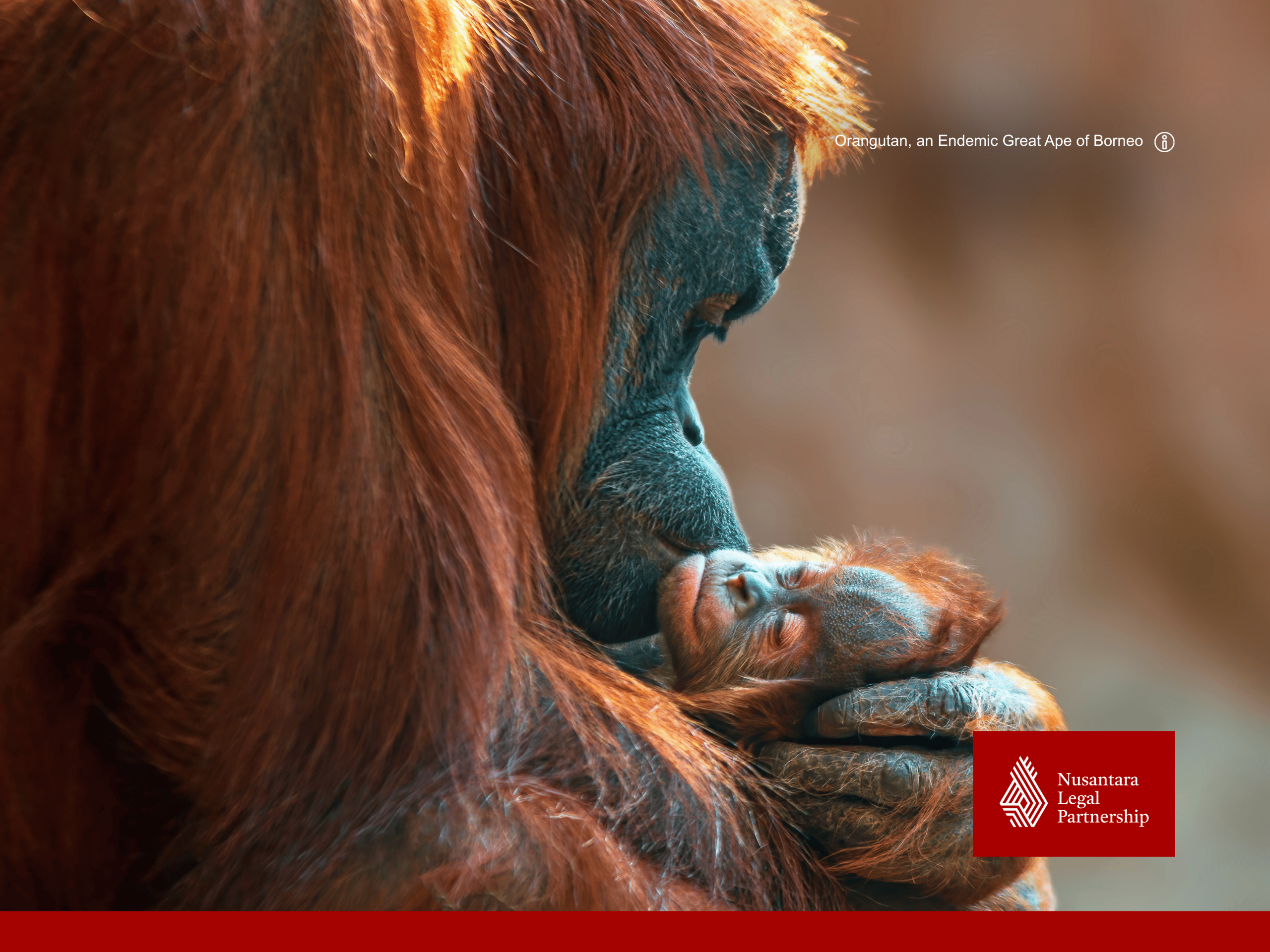 Indonesia’s New Child Protection in Digital Space
